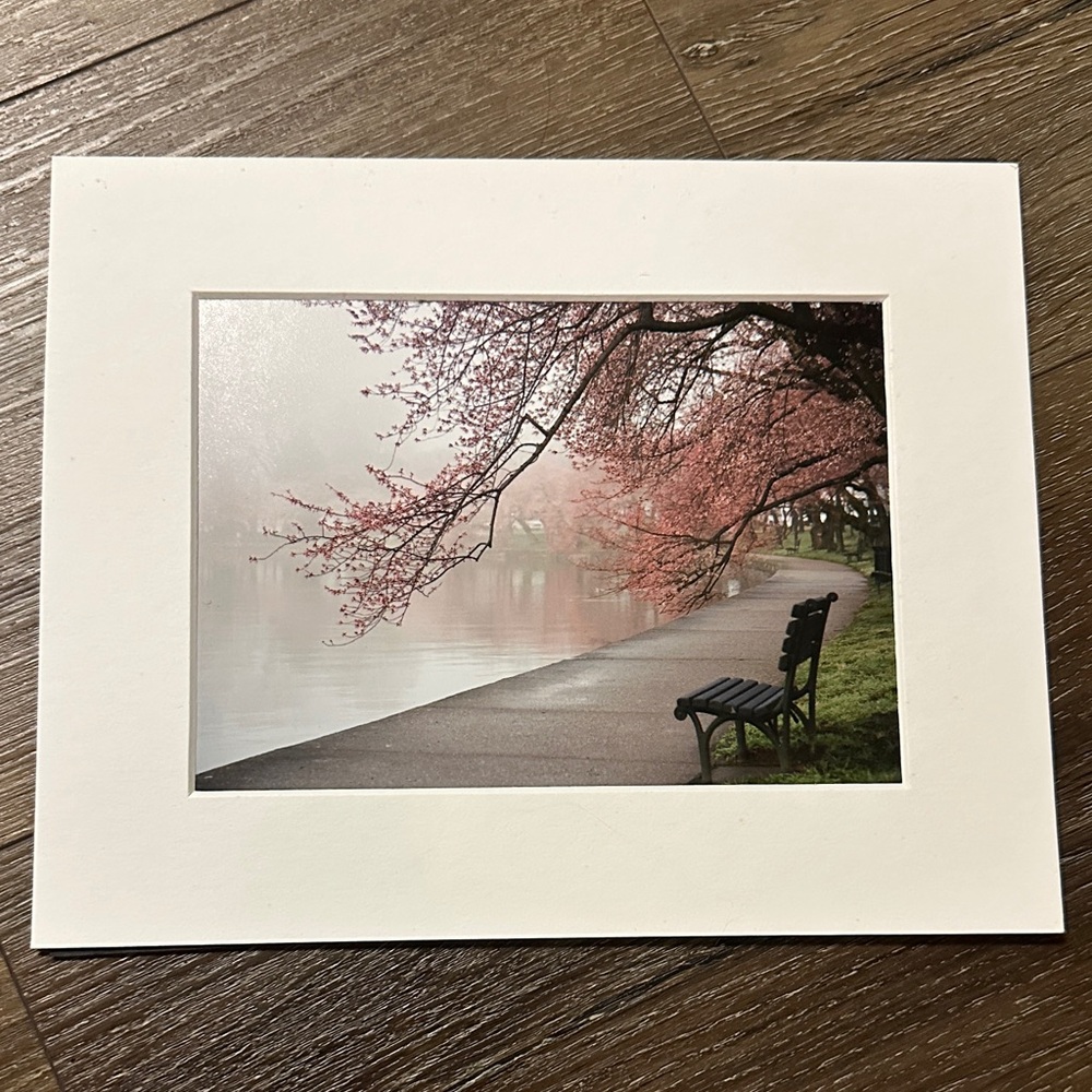 Cherry Blossom Photo Print with White Frame
